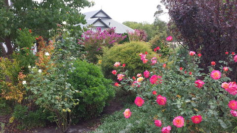 Glenelg On King Bed & Breakfast - Accommodation Kalgoorlie 15