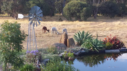 Glenelg On King Bed & Breakfast - Accommodation Kalgoorlie 19