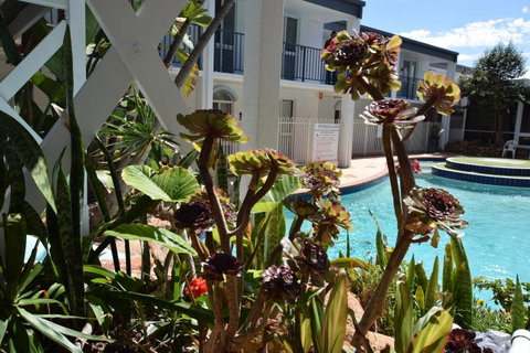 West Beach Lagoon 220 Stylish And Cozy - Accommodation Kalgoorlie 18