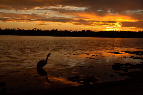 Dungowan Holiday Accommodation - Accommodation Kalgoorlie 31