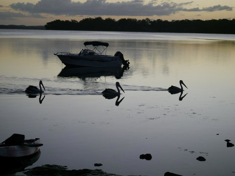 Dungowan Holiday Accommodation - Accommodation Kalgoorlie 41