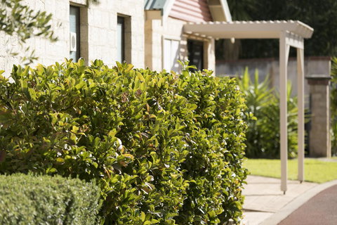 Amalfi Resort - Accommodation Kalgoorlie 9