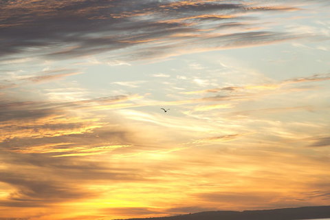 Amalfi Resort - Accommodation Kalgoorlie 6