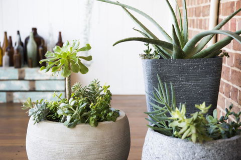 The Parkview Hotel Mudgee - Accommodation Kalgoorlie 35