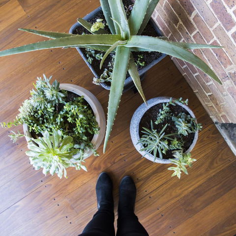 The Parkview Hotel Mudgee - Accommodation Kalgoorlie 33