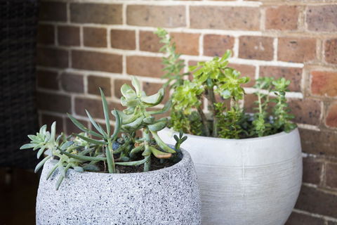 The Parkview Hotel Mudgee - Accommodation Kalgoorlie 34