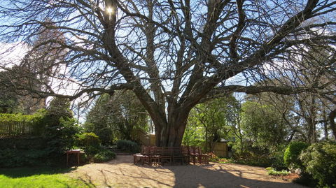 Nesuto Leura Gardens (formerly Waldorf Leura Gardens Resort) - Accommodation Kalgoorlie 3