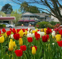 Nesuto Leura Gardens formerly Waldorf Leura Gardens Resort - Accommodation Kalgoorlie