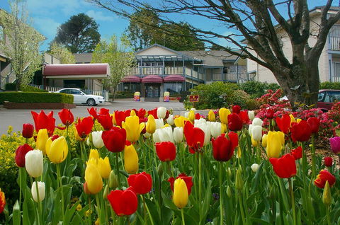 Nesuto Leura Gardens (formerly Waldorf Leura Gardens Resort) - Accommodation Kalgoorlie 0