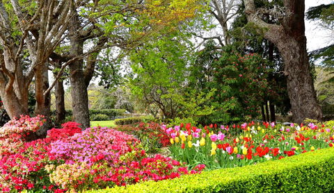 Nesuto Leura Gardens (formerly Waldorf Leura Gardens Resort) - Accommodation Kalgoorlie 8