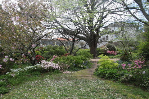 Nesuto Leura Gardens (formerly Waldorf Leura Gardens Resort) - Accommodation Kalgoorlie 4