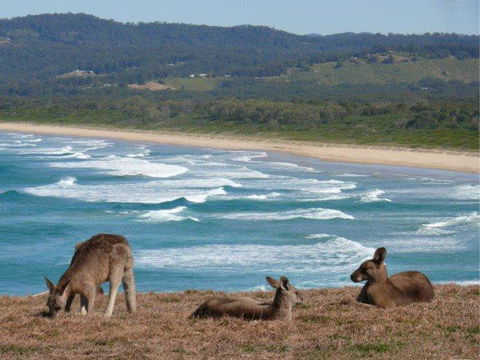 High Tide At Emerald - Accommodation Kalgoorlie 13