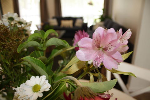 Ocean Breeze At Caba - Accommodation Kalgoorlie 11