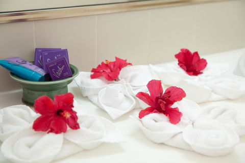 Kempsey Rose Motor Inn - Accommodation Kalgoorlie 14