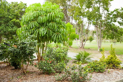 Kempsey Rose Motor Inn - Accommodation Kalgoorlie 42
