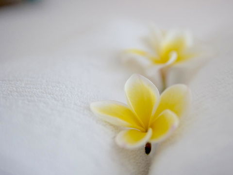 Cossies By The Sea - Accommodation Kalgoorlie 16