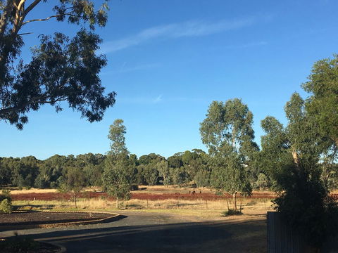 Junee Motor Inn - Accommodation Kalgoorlie 24