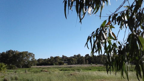 Junee Motor Inn - Accommodation Kalgoorlie 8