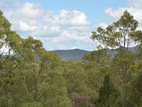 Villa Executive 2br Cypress DS Located Within Cypress Lakes Resort - Accommodation Kalgoorlie 8