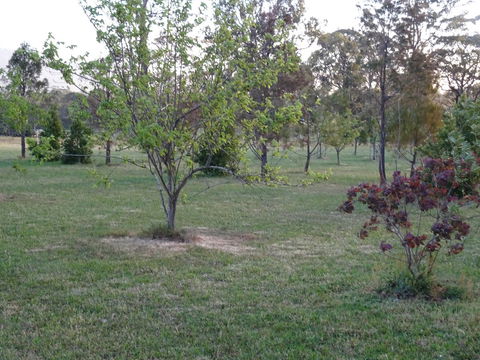 Romanz In The Valley (Luxury B&B) - Accommodation Kalgoorlie 32