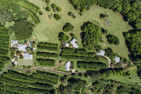 Byron Hinterland Villas - Accommodation Kalgoorlie 17