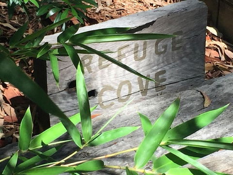 Refuge Cove On Pittwater - Accommodation Kalgoorlie 12