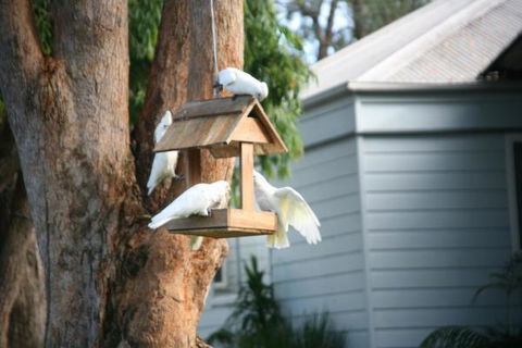 Huskisson Holiday Motel Cabins - Accommodation Kalgoorlie 29