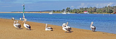 Pelican Motor Inn - Accommodation Kalgoorlie 29