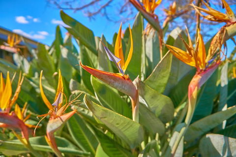 Hunter Oasis - Accommodation Kalgoorlie 33