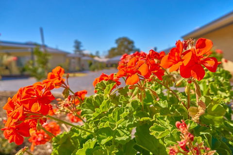 Hunter Oasis - Accommodation Kalgoorlie 42