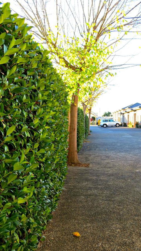 Best Western Plus Goulburn - Accommodation Kalgoorlie 37