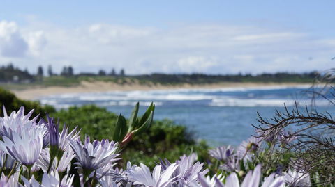 Blue Lagoon Beach Resort - Accommodation Kalgoorlie 18