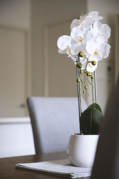 Quest Wagga Wagga - Accommodation Kalgoorlie 18