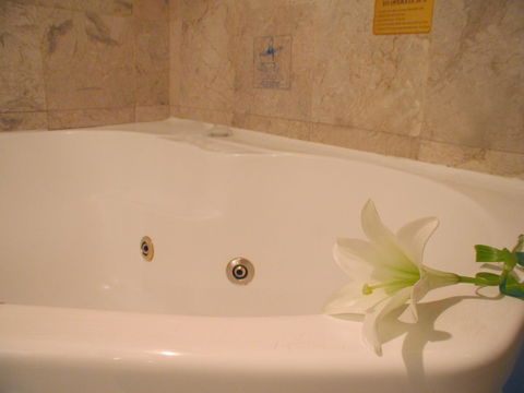 Novotel Sydney Brighton Beach - Accommodation Kalgoorlie 11