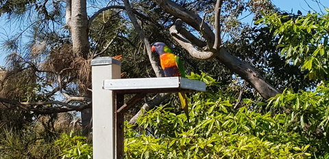 The Edgewater On Greville - Accommodation Kalgoorlie 15