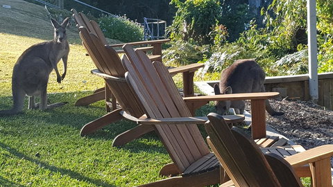 The Edgewater On Greville - Accommodation Kalgoorlie 18