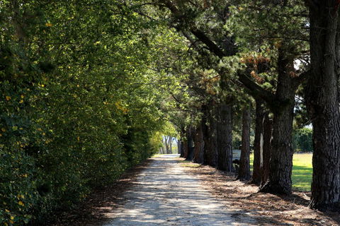 Terara Riverside Retreat - Accommodation Kalgoorlie 26