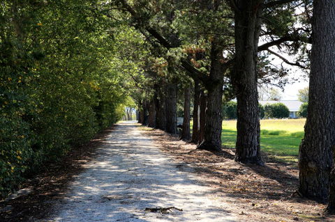 Terara Riverside Retreat - Accommodation Kalgoorlie 30