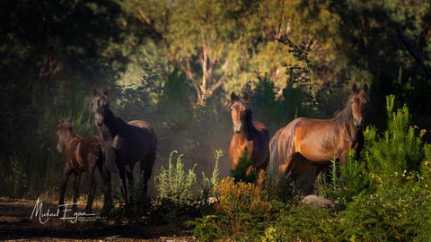 Pound Creek Gallery - Accommodation Kalgoorlie 18