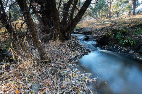 Pound Creek Gallery - Accommodation Kalgoorlie 26