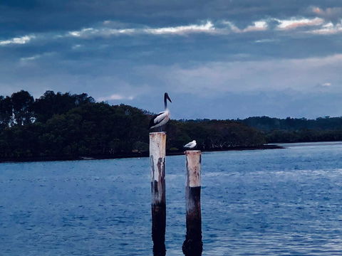 Boathouse Resort (Water Front) - Accommodation Kalgoorlie 15