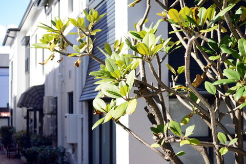 Avoca Randwick By Sydney Lodges - Accommodation Kalgoorlie 34