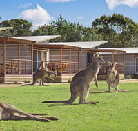 Discovery Parks  Pambula Beach - Accommodation Kalgoorlie