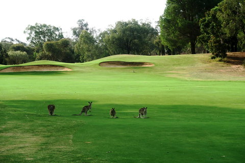 Mulwala Resort - Accommodation Kalgoorlie 40