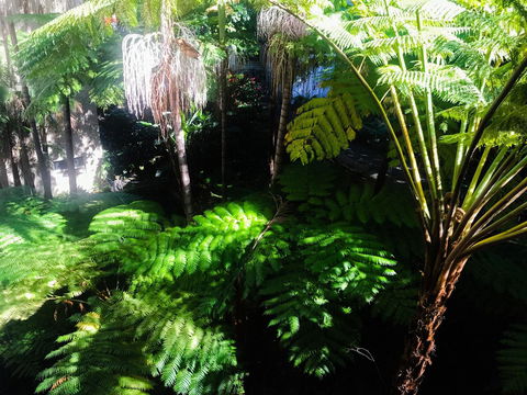 Woollahra Gem, Spectacular Views And Garden Paradise - Accommodation Kalgoorlie 34