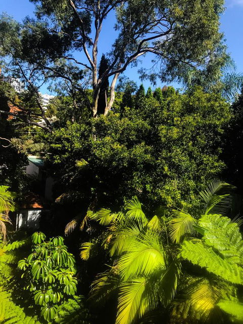 Woollahra Gem, Spectacular Views And Garden Paradise - Accommodation Kalgoorlie 31
