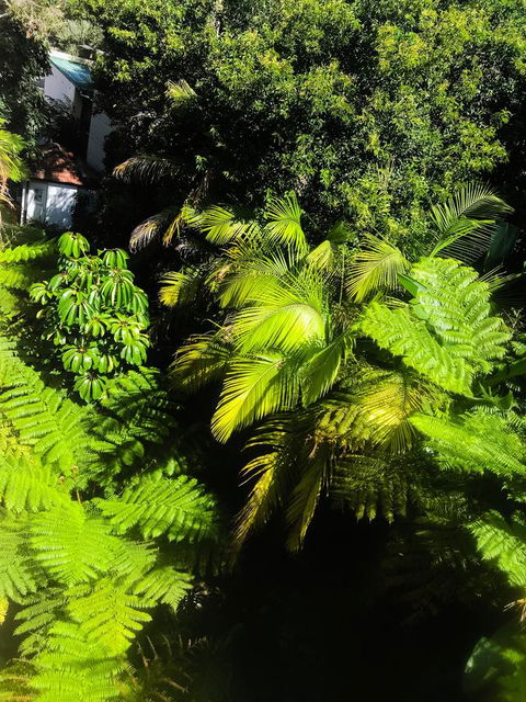 Woollahra Gem, Spectacular Views And Garden Paradise - Accommodation Kalgoorlie 29