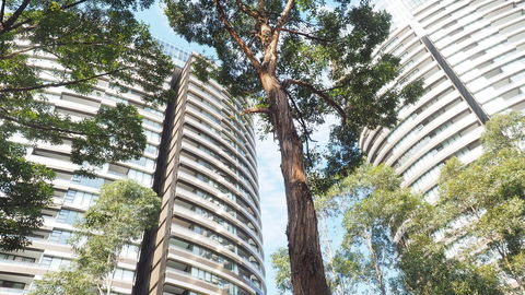 SkyGarden Sydney Olympic Park 3 & 4 Bedroom City View - Accommodation Kalgoorlie 33