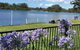 Swan Bay Hideaway - thumb 5