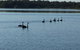 Swan Bay Hideaway - thumb 7